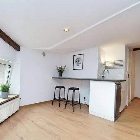 Fv/mariacka 7 - Studio - Appartement *