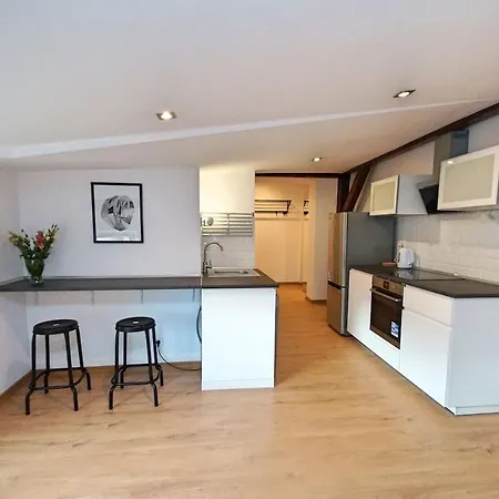 Fv/mariacka 7 - Studio - Appartement Katowice